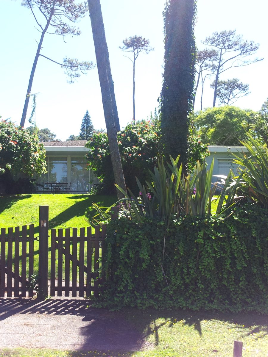 Pinares, Punta del Este